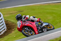 PJ-Motorsport-Photography-2020;anglesey;brands-hatch;cadwell-park;croft;donington-park;enduro-digital-images;event-digital-images;eventdigitalimages;mallory;no-limits;oulton-park;peter-wileman-photography;racing-digital-images;silverstone;snetterton;trackday-digital-images;trackday-photos;vmcc-banbury-run;welsh-2-day-enduro